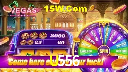 Experiência VIP U556